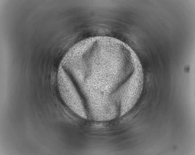 X0000089950177200707271848
