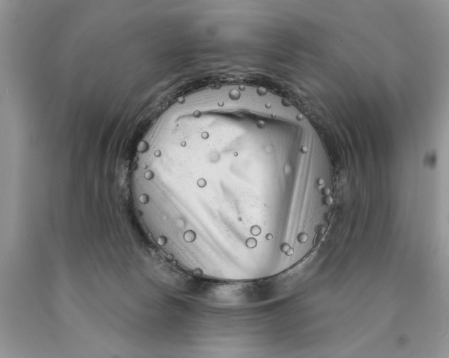 X0000089950178200707271848