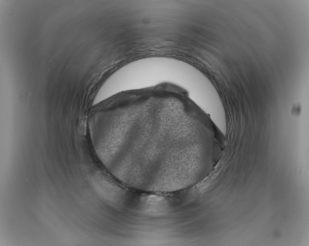 X0000089950180200707271848