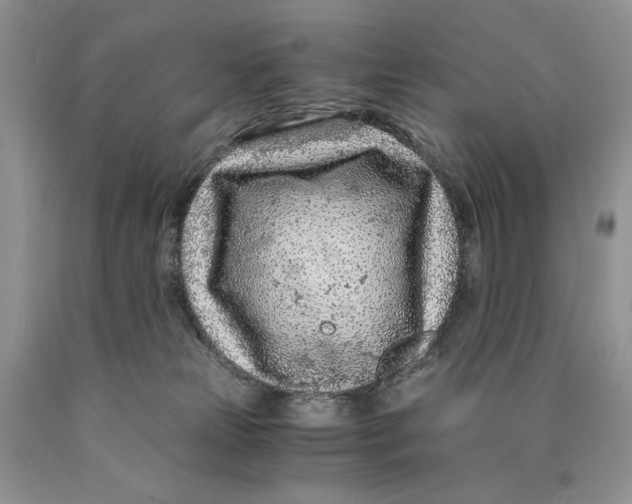X0000089950181200707271848