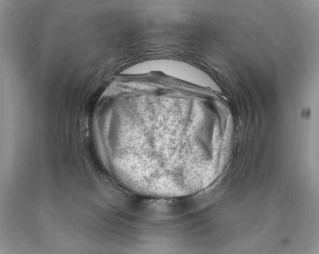 X0000089950182200707271848