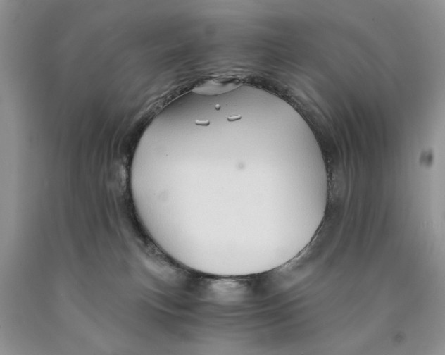 X0000089950183200707271848