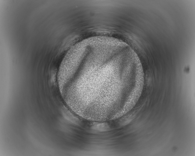 X0000089950185200707271848