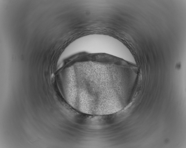 X0000089950186200707271848