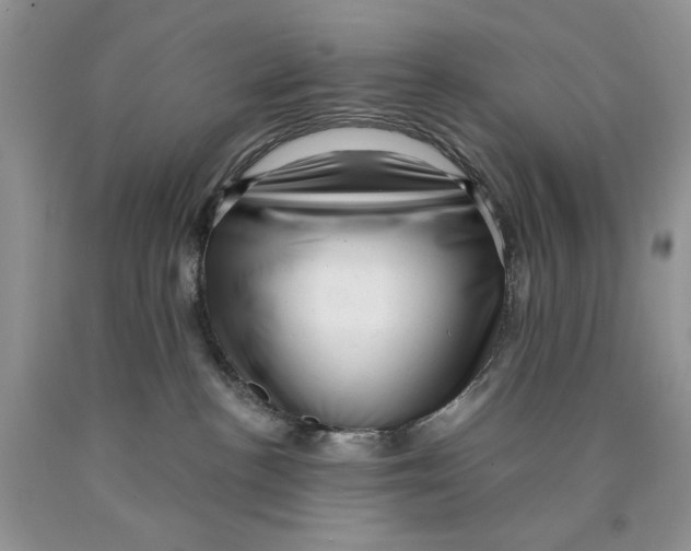 X0000089950188200707271848