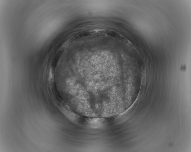X0000089950191200707271848