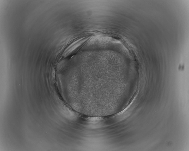 X0000089950192200707271848