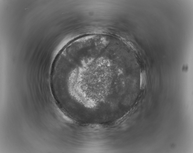 X0000089950195200707271847