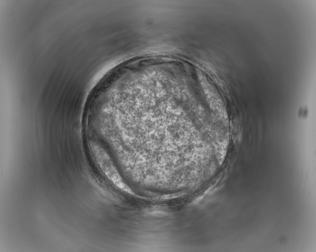 X0000089950196200707271847