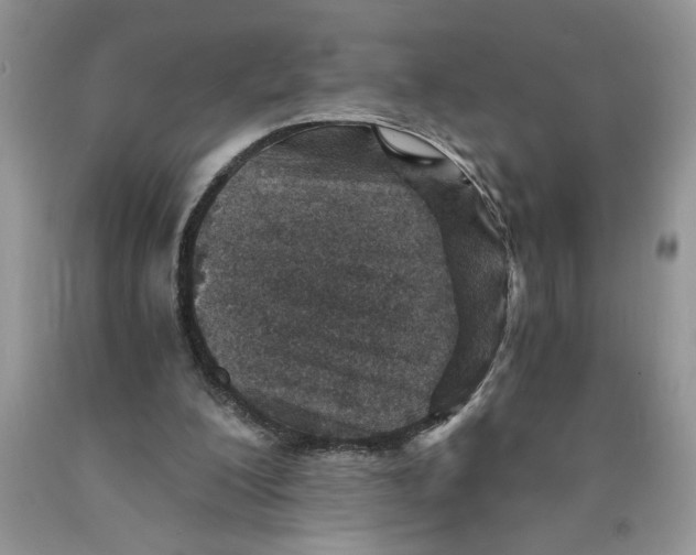X0000089950200200707271847