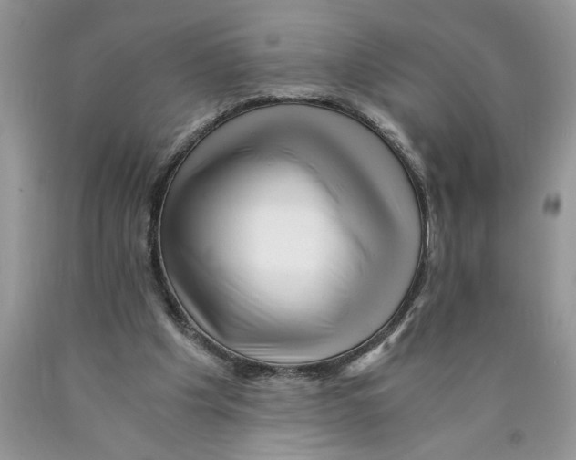 X0000089950201200707271847