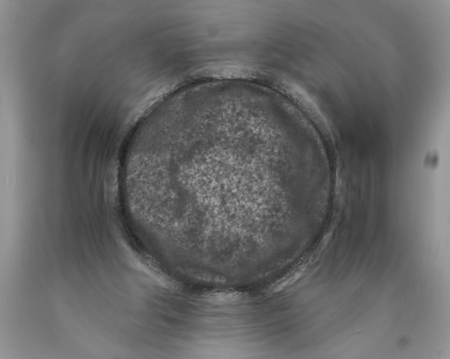 X0000089950202200707271847