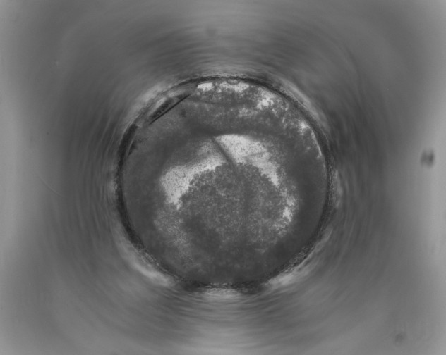 X0000089950203200707271847