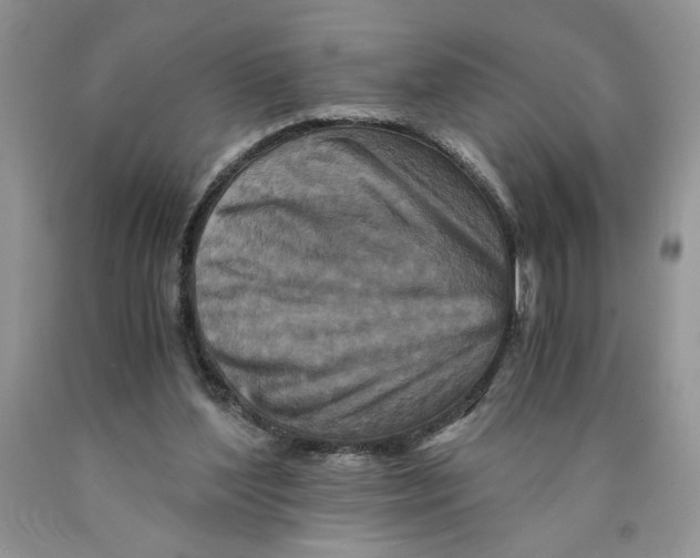 X0000089950204200707271847