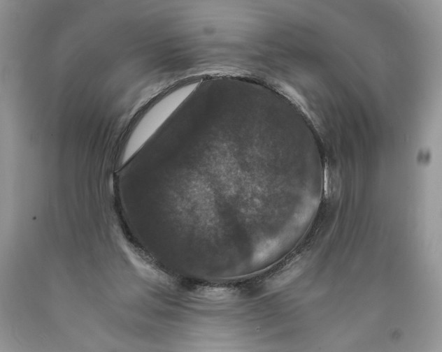 X0000089950205200707271847
