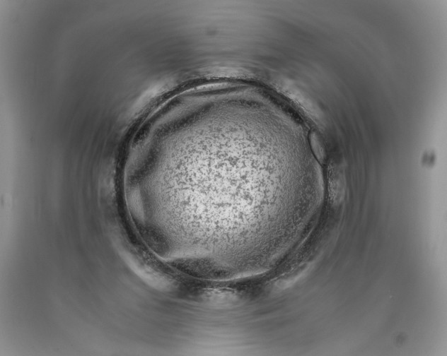 X0000089950207200707271847