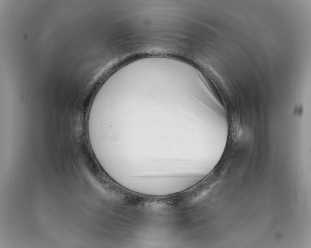 X0000089950208200707271847