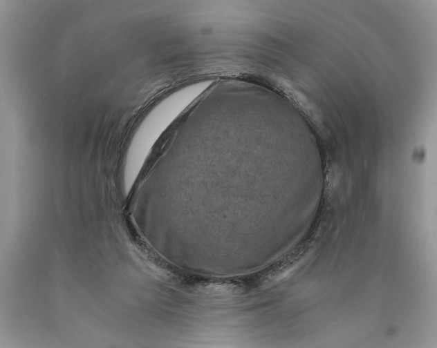 X0000089950209200707271847