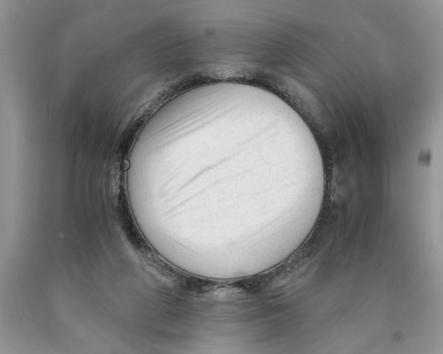 X0000089950210200707271847