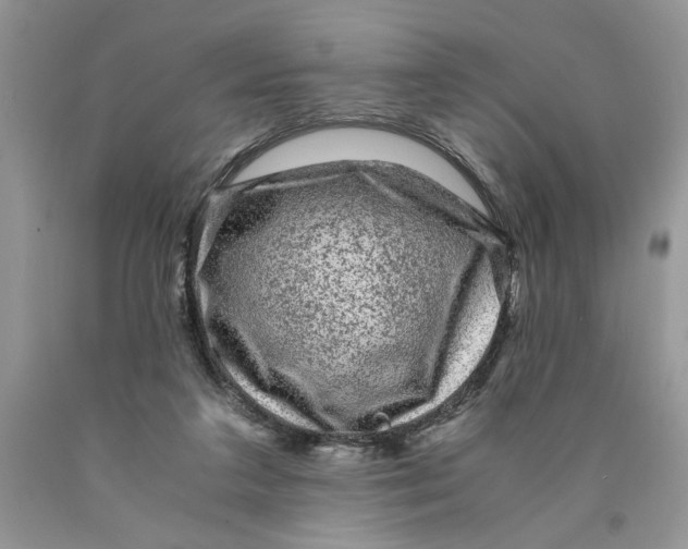 X0000089950211200707271847