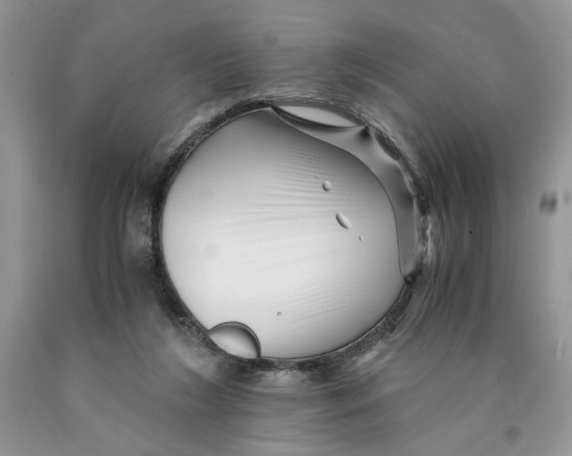 X0000089950212200707271847