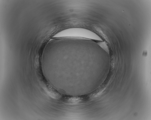 X0000089950213200707271847
