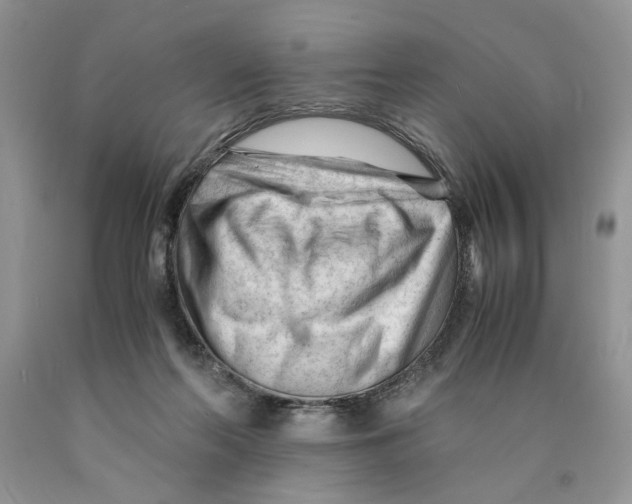X0000089950214200707271847