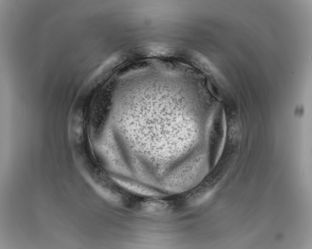 X0000089950215200707271847
