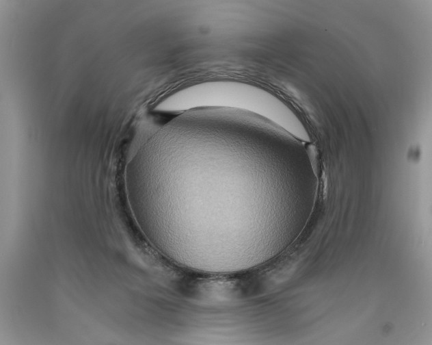 X0000089950217200707271847