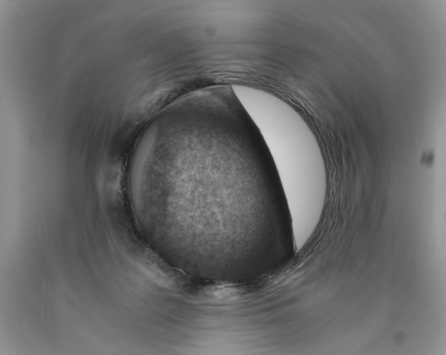X0000089950219200707271847