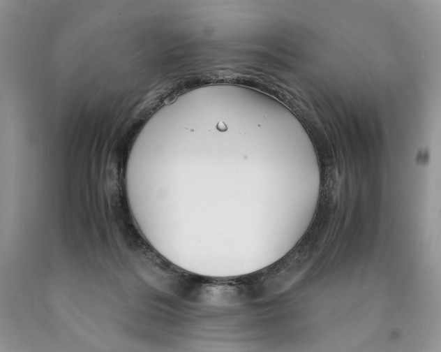 X0000089950220200707271847