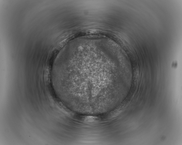 X0000089950222200707271847