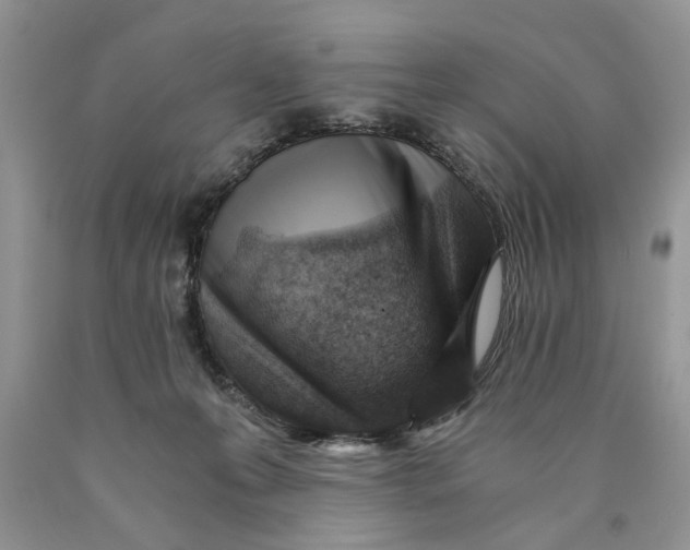 X0000089950223200707271847