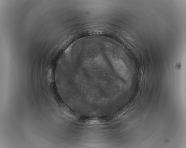 X0000089950224200707271847