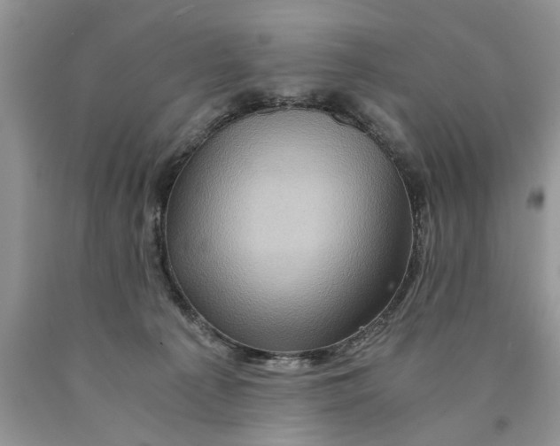 X0000089950225200707271847