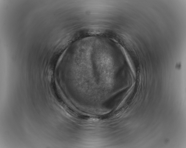 X0000089950227200707271847