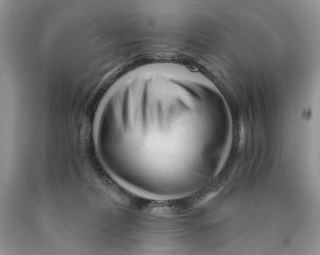X0000089950228200707271847