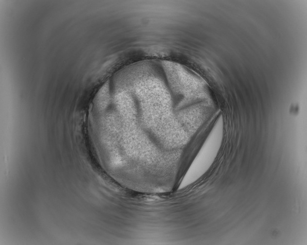 X0000089950229200707271847