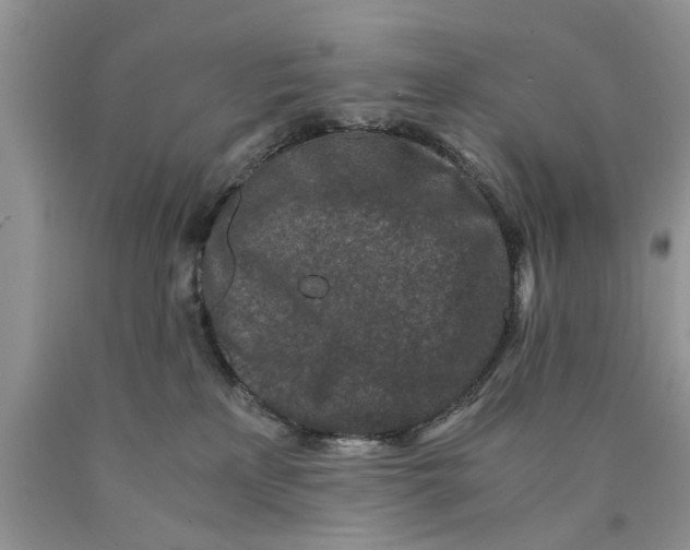 X0000089950233200707271847