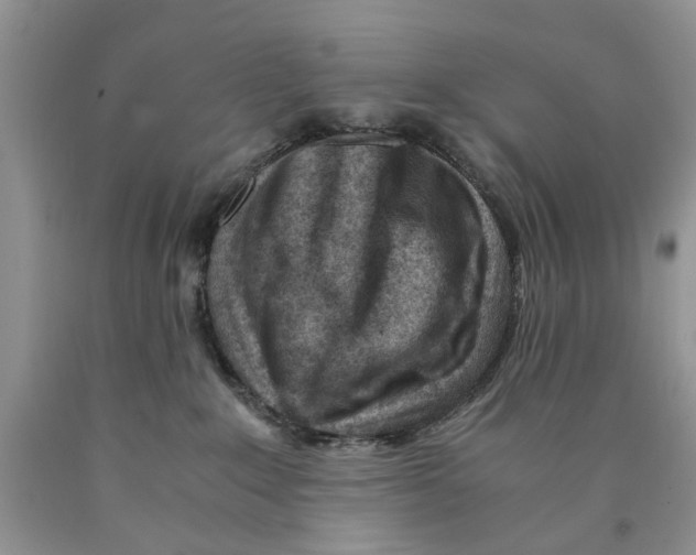 X0000089950235200707271847