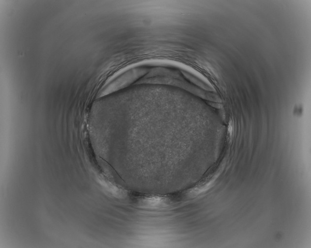 X0000089950237200707271847