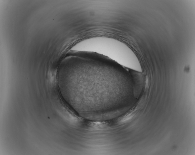 X0000089950239200707271846