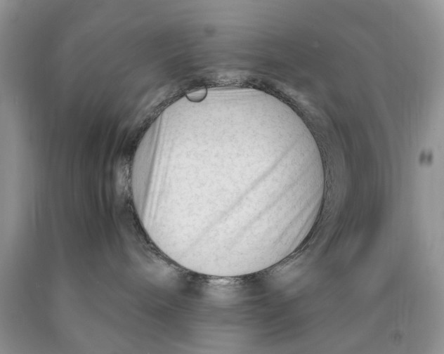 X0000089950240200707271846