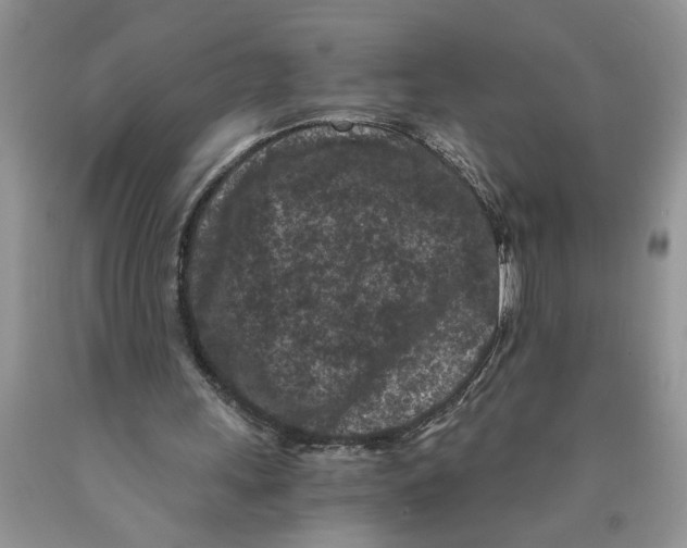 X0000089950243200707271846