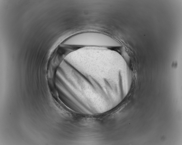 X0000089950244200707271846