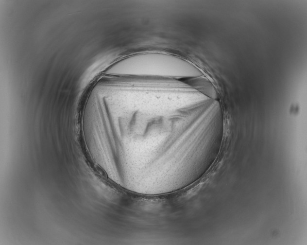 X0000089950245200707271846