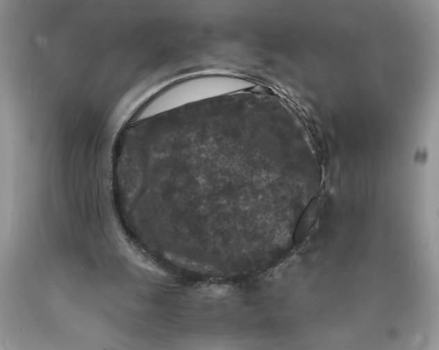 X0000089950247200707271846