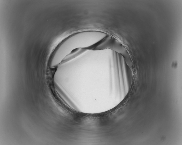 X0000089950248200707271846