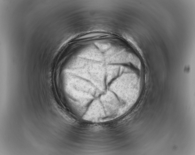 X0000089950249200707271846