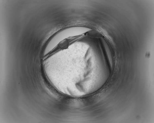 X0000089950250200707271846